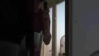 Miniature : ŏ̵͖̜v̵͎̂͊ê̸̠̺̎r̸̛͓̥̍  - 15 jours pour être heureux
