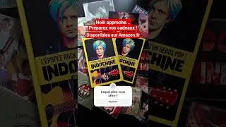 Miniature : Livres pop-rock pour Noël #Indochine #viral #depechemode #u2 #mylenefarmer #cadeau #ideecadeau #noel