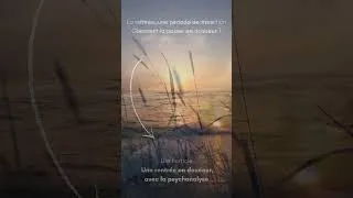 Miniature : Une rentrée en douceur avec la psychanalyse
