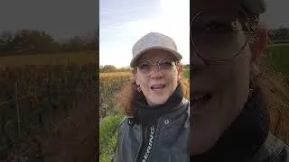 Miniature : Comment Fidéliser ses Clients ? Astuce Vin & Moto en 1 minute !
