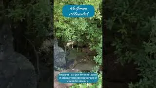Miniature : Marcher dans le Parc Garajonay et revenir à l'essenCiel - www.islagomera.be