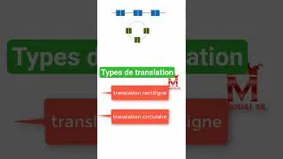 Miniature : Types de translation