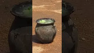 Miniature : KOUTO PORLAHLA 2026