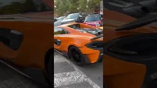 Miniature : Une journée normal sur saint Tropez