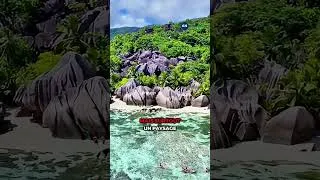 Miniature : La meilleure destination lune de miel au monde est dans les Antilles