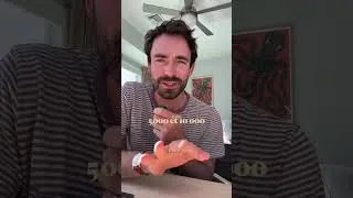 Miniature : Espèces vs langues