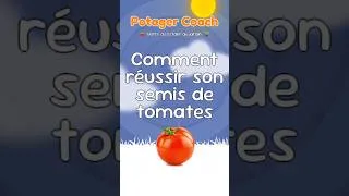 Miniature : Comment réussir son semis de tomates