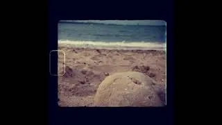 Miniature : Instant de bonheur à La Rochelle
