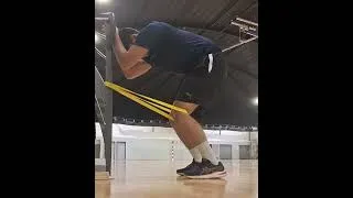 Miniature : Banded Leg Ext
