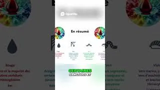 Miniature : Le Sang Bleu et Vert des Animaux Expliqué Simplement
