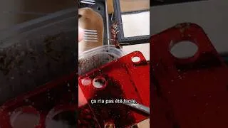 Miniature : Il est temps de déménager cette Fourmis… 👀