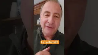 Miniature : 8 décembre 2025