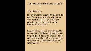 Miniature : La révolte peut-elle être un droit ? (Philosophie-Analyse)