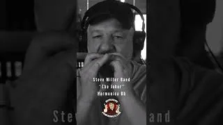 Miniature : Steve Miller Band - The Joker - Harmonica Bb
