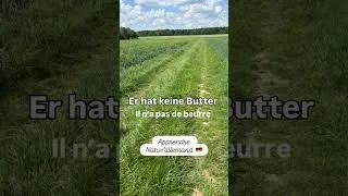 Miniature : 🎶 Conjuguer le verbe avoir „HABEN“ en allemand