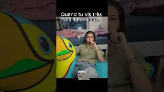 Miniature : Je vis très mal la chaleur..🥲🥀