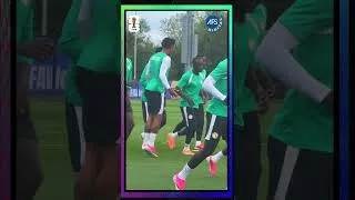 Miniature : Sénégal- Belgique : Dernier galop des Lions