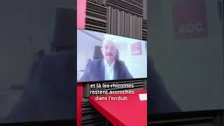 Miniature : Encrassement des façades : quels sont les points de vigilance concernant le nettoyage ?