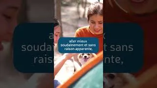 Miniature : Comment reconnaitre les signes avant-coureurs du suicide.