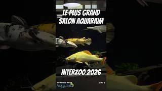 Miniature : INTERZOO 2026 : le plus grand salon aquarium au monde !