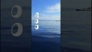 Miniature : Et si on changeait de vie ? #reconversionprofessionnelle #plongée #diving