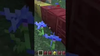 Miniature : Nouvelle M.A.J Minecraft disponible sur bedrock en expérimental #minecraft #minecraftshorts #bedrock