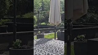 Miniature : mon bssin ce jour