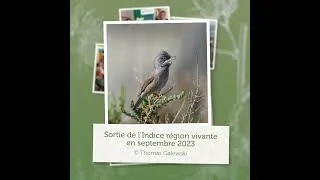 Miniature : Voeux 2024 de l'ARBE