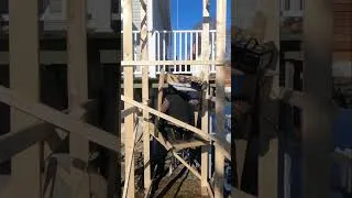 Miniature : Accident - Élévateur avec winch