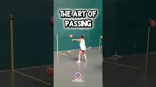 Miniature : THE ART OF THE PASS 🏀 #basketball