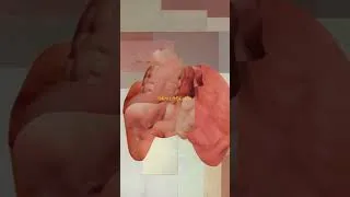 Miniature : Des collages poétiques (Odires Mlászho)