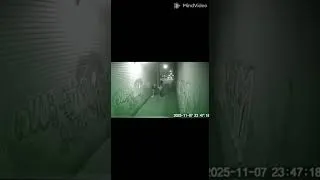 Miniature : SCÈNE DE RUE INQUIÉTANTE CAPTURÉE PAR UNE CAMÉRA DE SURVEILLANCE 👁️