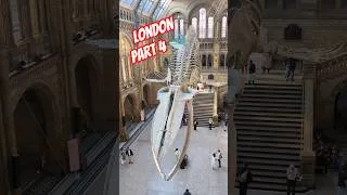 Miniature : Natural History Museum of London 🐋 #biology #darwin #museum #nature