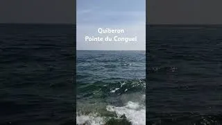 Miniature : Quiberon  Pointe du Conguel            Petite pose printanière
