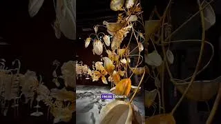 Miniature : Biennale de Venise 2026