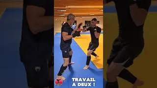 Miniature : Découvrez le Karaté Mix à Pusignan #mma #martialarts #karate