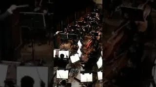 Miniature : Hommage à Roland Petit - Ballet - Opéra de Paris