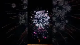 Miniature : 14 Juillet  feu d’artifice France Fireworks #shorts #shortvideo #short #shortsfeed
