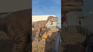 Miniature : valvert Dinosaurs #shortsfeed #shorts #shortvideo #short #shortsvideo