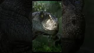 Miniature : JURASSIC PARK 3 #jurassicpark #dinosaur #edit #spinosaurus #Spinosaure #T-Rex #Raptor #korn #movie