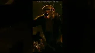 Miniature : DAWN OF THE PLANET OF THE APES #movie #monkey #film #TSFH #TwoStepsFromHell #Ape