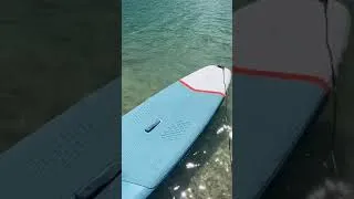 Miniature : 🏄‍♀️JOURNÉE PADDLE SUR EAU TURQUOISE 😃