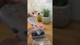 Miniature : 🔥Organiser Votre Frigo avec Temu à 0€🔥