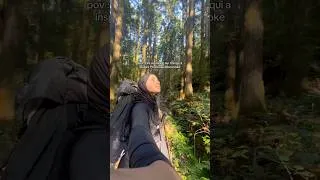 Miniature : POV : je suis allée sur l’île de Mononoke #japan #yakushima #youtubeshorts