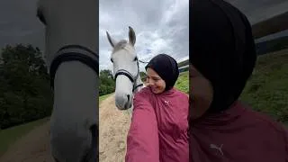 Miniature : aujourd’hui on saute à cheval🐎