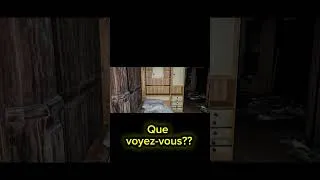 Miniature : Que voyez-vous? #peur #ghost #horreur #paranormal #explore #shortvideo #short #shortsfeed