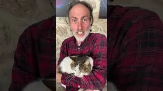 Miniature : Une grande ourse vraiment féroce (Non.) #chat #grandeourse #astronomie #ferociouscat #cat