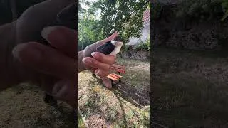 Miniature : 🌱 Prendre soin du vivant qui nous entoure