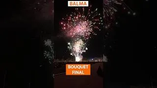 Miniature : bouquet final feu d'artifice Balma 05 septembre 2026