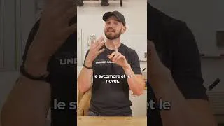 Miniature : Comment choisir son bois ?